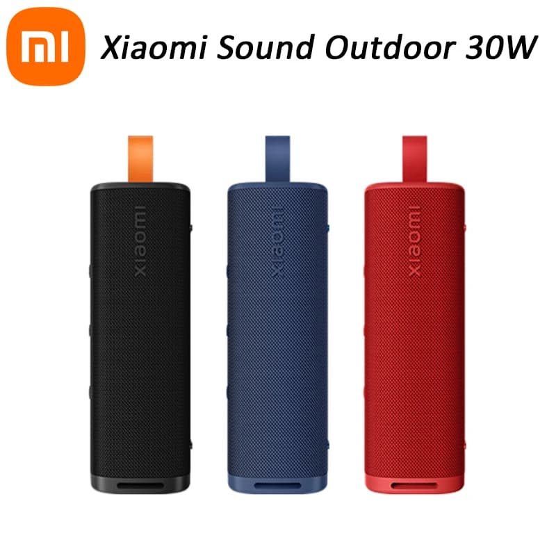 30W Portable Speaker